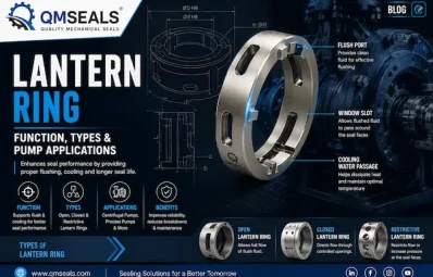 Lantern Ring – Function, Types &amp; Pump Applications | QMSEALS