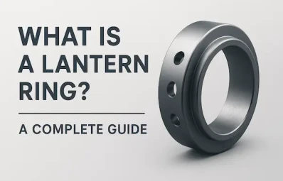 What Is a Lantern Ring?