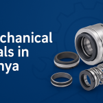 Mechanical Seals in Kenya