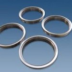 Lug and Wafer Retainer Ring