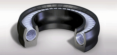 What Are Spring Energized Seals?